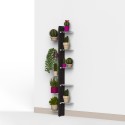 Étagère murale design pour plantes d'intérieur 10 niveaux Zia Flora WMH Catalogue