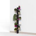 Pots à plantes muraux d'intérieur design 10 étagères Zia Flora WMH Catalogue