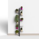 Étagère murale design pour plantes d'intérieur 10 niveaux Zia Flora WMH Modèle