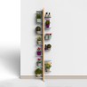 Étagère murale design pour plantes d'intérieur 13 étagères Zia Flora WH Catalogue