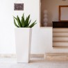 Pot de fleurs surélevé de jardin style moderne égyptien Remises
