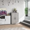 Buffet multifonction moderne 2 portes 3 compartiments Lesly Prix