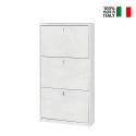 Meuble à chaussures slim 3 portes, capacité 7 paires, design moderne Kopen Caractéristiques