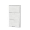Meuble à chaussures slim 3 portes, capacité 7 paires, design moderne Kopen Achat