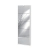 Meuble à chaussures 5 portes avec miroir design moderne pour 12 paires de chaussures Darcy 