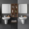 Lavabo suspendu 65 cm en céramique de salle de bain 1 et 3 trous Geberit Selnova Offre
