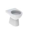 Vase WC à poser avec évacuation verticale sanitaire Geberit Selnova Promotion