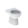 Vase WC à poser avec évacuation verticale sanitaire Geberit Selnova Promotion