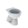 Cuvette WC à poser sortie verticale sanitaires salle de bain Geberit Colibrì Promotion