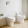 Toilettes à chasse d'eau en céramique sur pied Zentrum VitrA sanitaires muraux Vente