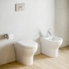 Vase WC en céramique au sol fil de mur évacuation murale sanitaire Zentrum VitrA Vente
