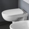 WC suspendu avec réservoir encastré sanitaires salle de bain Geberit Selnova Vente