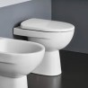 Vase WC à poser avec évacuation verticale sanitaire Geberit Selnova Vente