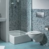 Toilette suspendue à évacuation murale Normus Arkitekt VitrA Offre