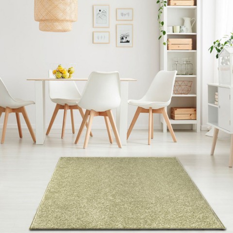 Tapis rectangulaire design moderne 200x300cm pour le salon Trend Sage-Green