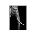 Tableau décoratif moderne photographique animaux éléphants cadre 50 × 70 cm Unika 0017 Vente