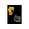 Tableau décoratif moderne photographique poissons colorés cadre 30 × 40 cm Unika 0021 Vente