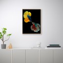 Tableau décoratif moderne photographique poissons colorés cadre 30 × 40 cm Unika 0021 Promotion