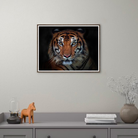 Tableau Moderne photographie Tigre animaux cadre 30 × 40 cm Unika 0027 Promotion