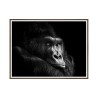Tableaux Moderne Photographie impression Gorille photo animaux cadre 30 × 40 cm Unika 0026 Vente