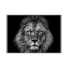 Tableau décoratif moderne photographique imprimé lion noir et blanc 70 × 100 cm Unika 0028 Vente