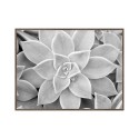 Tableau décoratif moderne photographique noir et blanc végétal cadre 30 × 40 cm Unika 0056 Vente