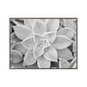 Tableau décoratif moderne photographique noir et blanc végétal cadre 30 × 40 cm Unika 0056 Vente