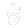 Suspension LED cercle noir Ø 80 cm Rim Maytoni Offre