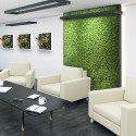 Tableaux végétaux stabilisés 4 60x40cm panneaux GreenBox Kit Lichene 