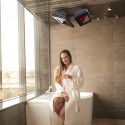 Chauffage Infrarouge Intérieur et Extérieur Dimmerable avec Télécommande Aaren D Remises