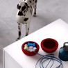 Conteneur de stockage de nourriture pour chien portable Pet Box Prix