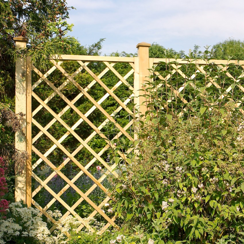 Treillis en bois pour jardin pour plantes grimpantes 120x180 cm Promotion Treillis en bois pour jardin pour plantes grimpantes 120x180 cm Promotion