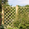 Treillis en bois pour plantes grimpantes 40x180 cm terrasse jardin Promotion