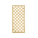 Treillis en bois pour plantes grimpantes 40x180 cm terrasse jardin Vente