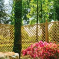 Treillis en bois pour plantes grimpantes 120x180 cm jardin Trendy Promotion