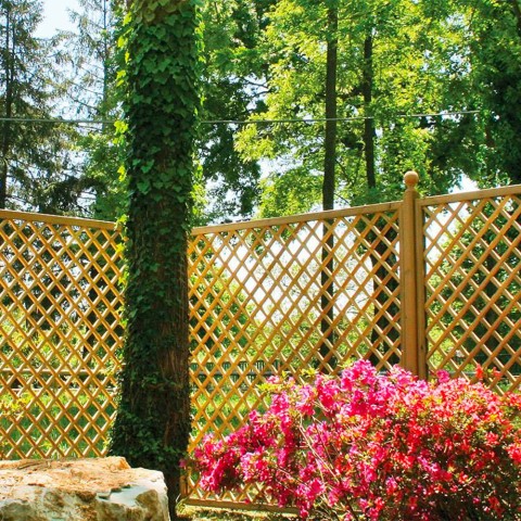 Brise-vue grille en treillis ajouré en bois pour plantes grimpantes 90x180cm jardin Trendy