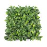 Clôture de jardin haie artificielle anti-vue 4 pièces 50x50 cm Lauro Ceraso Plus Promotion