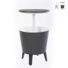 Table d'appoint avec glacière intégrée et plateau relevable Cool Bar Keter Vente