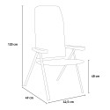 Chaise de camping pliable avec accoudoirs pour jardin extérieur Straal M Brunner Offre