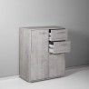 Meuble polyvalent avec tiroirs pour bureau ou salon 2 compartiments 2 tiroirs Ruj Réductions