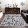 Tapis rectangulaire shaggy poils longs moderne antiallergique BIA003 Promotion