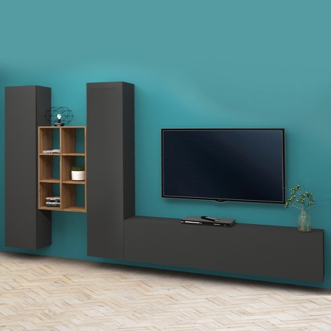Meuble TV moderne 2 armoires 6 compartiments bibliothèque en bois Manny RT Promotion