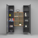 Bibliothèque moderne avec armoire et vitrine bois Teret RT Remises