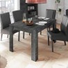 Table extensible design moderne 90x137-185cm bois noir Diogo Urbino Réductions