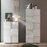 Armoire d'entrée penderie 2 portes porte-manteau moderne Maddy Dama Remises