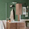 Miroir de salle de bain avec éclairage LED et colonne suspendue 1 porte en bois Aralia Remises
