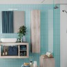 Colonne de salle de bain suspendue 1 porte meuble rangement en bois blanc Bax Promotion