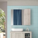 Miroir de salle de bain avec éclairage LED et colonne suspendue 1 porte bois blanc Evin Offre