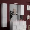 Miroir de salle de bain avec éclairage LED et colonne 1 porte blanc brillant Zeit Dama Remises