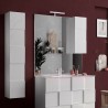Miroir de salle de bain avec lumière LED et colonne 1 porte blanc brillant Zeit Dama Remises